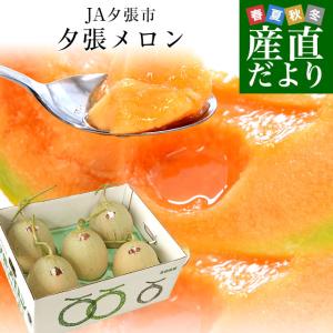 北海道産 JA夕張市 夕張メロン 良品 約8キロ （5玉入）