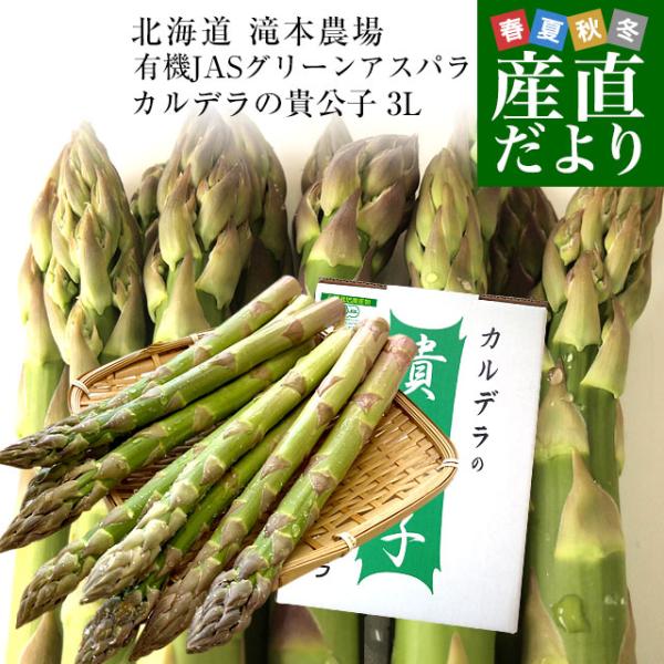 北海道より産地直送 赤井川村滝本農場の有機JASグリーンアスパラ「カルデラの貴公子」 極太3Lサイズ...