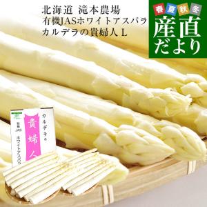 北海道より産地直送 赤井川村滝本農場の有機JASホワイトアスパラ「カルデラの貴婦人」 Lサイズ 約500g入り 送料無料 アスパラガス ※クール便発送 爆買