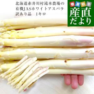 北海道より産地直送 赤井川村 滝本農場の有機JAS認定ホワイトアスパラ 訳あり 大小込み 約1キロ 送料無料 アスパラガス ※クール便発送 爆買