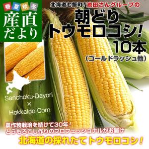 北海道七飯町産 池田さんグループの朝どりトウモロコシ Lサイズ 350g×10本 (ゴールドラッシュ他) とうもろこし ※クール便
