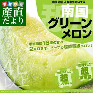 鹿児島県より産地直送 JA鹿児島いずみ 南国グリーンメロン ...