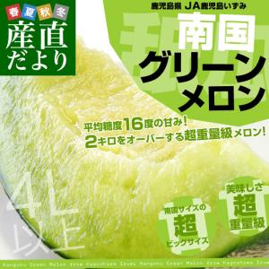 鹿児島県より産地直送 JA鹿児島いずみ 南国グリーンメロン 4L以上 2キロ以上の超大玉×２玉 送料無料