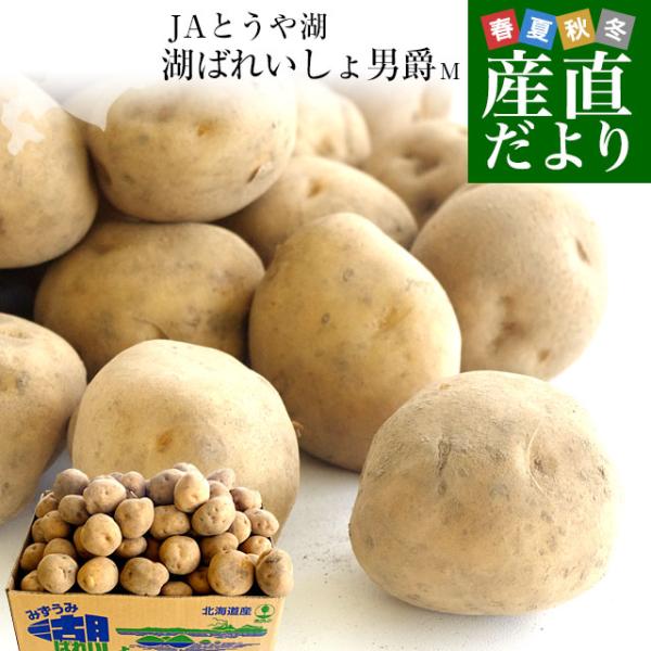 北海道より産地直送 JAとうや湖 じゃがいも 湖ばれいしょ「男爵」 Mサイズ 10キロ 馬鈴薯 ジャ...
