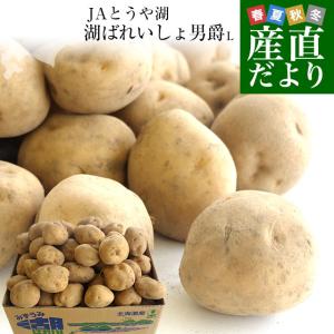 北海道より産地直送 JAとうや湖 じゃがいも 湖ばれいしょ「男爵」
