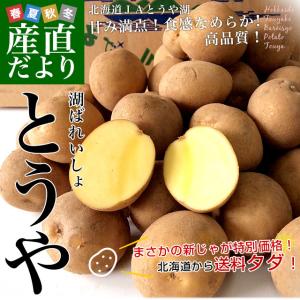 北海道から産地直送 JAとうや湖 じゃがいも 湖ばれいしょ「とうや」 Mサイズ 10キロ 馬鈴薯 ジャガイモ 送料無料｜sanchokudayori
