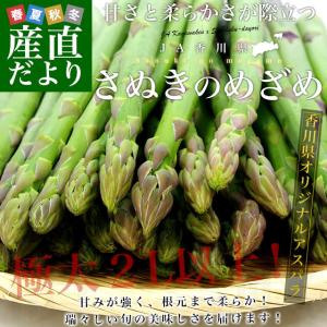 香川県より産地直送 JA香川県アスパラ さぬきのめざめ