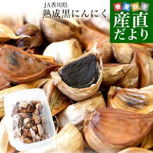 香川県より産地直送 JA香川県 熟成黒にんにく 約300g（タッパー入り） 送料無料 黒ニンニク 大蒜｜sanchokudayori