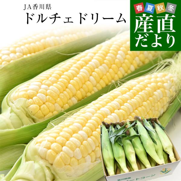 香川県より産地直送 JA香川県 ドルチェドリーム 約4.5キロ　2LからLサイズ（10本から13本入...