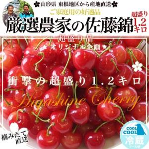 送料無料　山形県東根市 厳選農家の さくらんぼ佐藤錦 超盛り約1.2kg （Mサイズ）3,500円 ※クール便