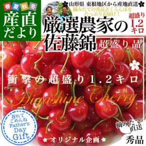 【遅れてごめんね父の日】 山形県より産地直送 厳選農家の さくらんぼ佐藤錦 秀品 Mサイズ 超盛 1.2キロ (約300g×4P入) 送料無料 ※クール便発送