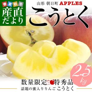 山形県より産地直送 山形朝日町APPLES 蜜入りんご「こうとく」　特秀　大玉　2.5キロ(6玉から9玉) 林檎  送料無料