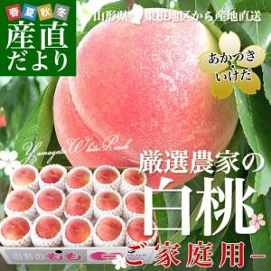 山形県　東根地区から産地直送　「厳選農家の白桃」　（あかつき・いけだ）　ご家庭用　5キロ　13から20玉