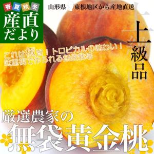 山形県 東根地区から産地直送「厳選農家の無袋黄金桃」 上級品...