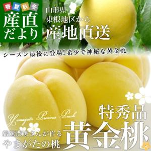 山形県より産地直送　東根の厳選農家　やまがたの桃　黄金桃　特秀品　約5キロ （13から16玉）もも 黄貴妃　 おうきひ　おうごんとう　