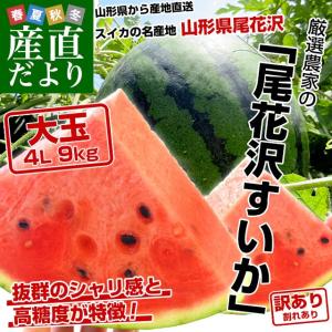 山形県より産地直送 厳選農家の尾花沢スイカ 4L 訳あり C品 大玉 (9キロ×1玉) 送料無料 すいか 西瓜