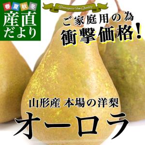 山形県より産地直送　本場の洋梨　オーロラ ご家庭用 約５キロ　（8玉から18玉）　洋梨　洋なし 洋ナシ｜sanchokudayori