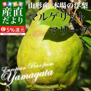 送料無料 山形県より産地直送 洋梨 マルゲリットマリーラ 5キロ(8玉から16玉) 洋なし 洋ナシ