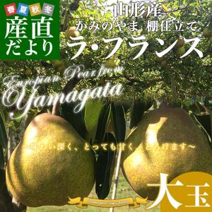 山形県より産地直送 山形かみのやま産 棚仕立てラ・フランス