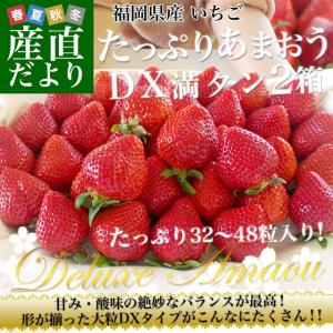 福岡県産　超盛り あまおう　デラックス2箱　（270g×４P：合計32粒から48粒入り）　いちご、苺、イチゴ