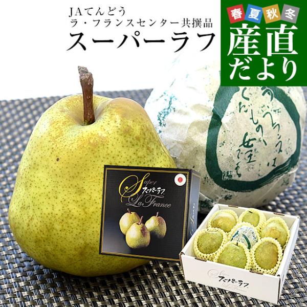 【お歳暮 ギフト】山形県から産地直送 JAてんどう スーパーラフ 約2.3キロ 3Lから2Lサイズ(...