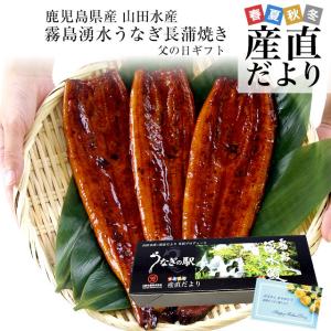 【遅れてごめんね】父の日ギフト 鹿児島県志布志産 山田水産 霧島湧水うなぎ 長蒲焼き 大サイズ3尾セット（140g前後×3尾）送料無料 鰻師 加藤尚武さん ギフト