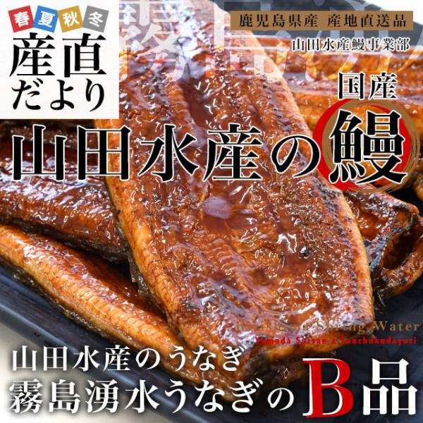 鹿児島県志布志産 山田水産 ご家庭向け 霧島湧水うなぎ B品 計700g（5尾から7尾詰め）送料無料...