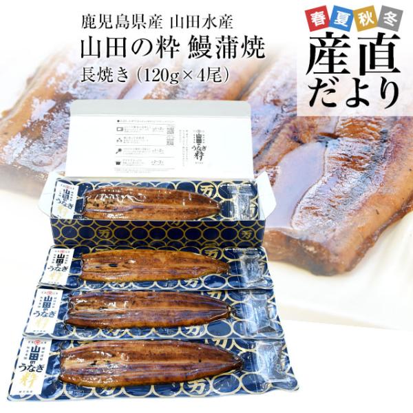 鹿児島県産 山田水産の極上国産うなぎ蒲焼「山田の粋（やまだのいき）」長焼（120g×4尾）送料無料 ...