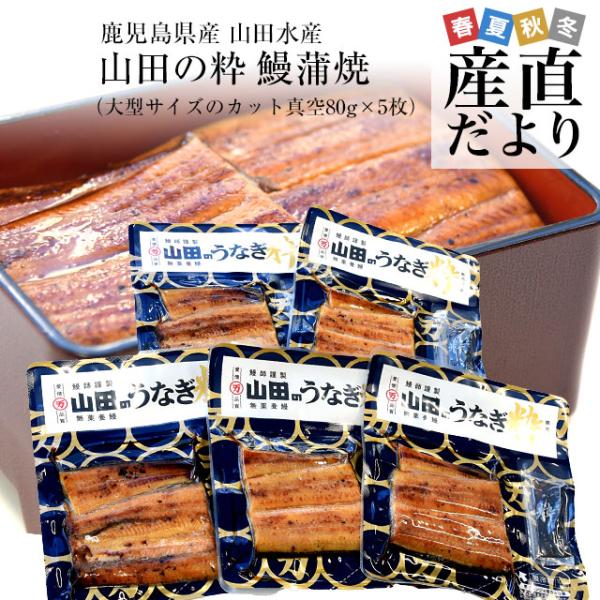 鹿児島県産　山田水産の極上国産うなぎ蒲焼「山田の粋（やまだのいき）」（大型サイズのカット真空80g×...