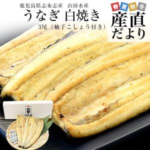 鹿児島県志布志産 山田水産のうなぎ 白焼き 160g前後×3...