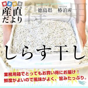 徳島県椿泊産　しらす干し　1キロ入り　業務用箱　　しらす　シラス