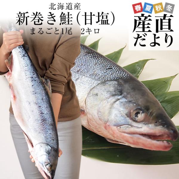 北海道から産地直送　北海道産　新巻き鮭（甘塩）　まるごと1尾　2キロ 送料無料　さけ　サケ　お歳暮　...