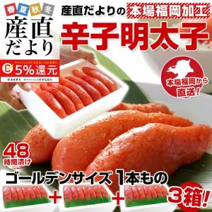 送料無料　福岡加工　辛子明太子　ゴールデンサイズ　1本もの　約280g(6から7本)×3箱