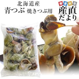 北海道から直送 北海道産 青つぶ 焼きつぶ用（あぶら処理済み・ボイル）Lから2Lサイズ　約1キロ（8から15個入り） 送料無料｜sanchokudayori