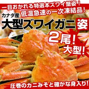 【Yahoo!ショッピング総合一位獲得！送料無料】カナダ産 大型 ズワイガニ姿 2尾 1.3キロ前後 ズバリ1箱 4,980円！かに カニ 蟹
