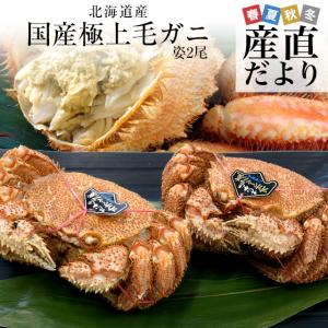 北海道より直送 北海道産 浜ゆで 毛ガニ 1キロ（大型500g×2尾入）　かに