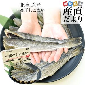 北海道から直送 北海道厚岸産 一夜干しこまい 2Lサイズ 化粧箱 1箱 500ｇ（11尾前後） 送料無料 氷下魚 コマイ シーフード ※クール冷凍便｜sanchokudayori