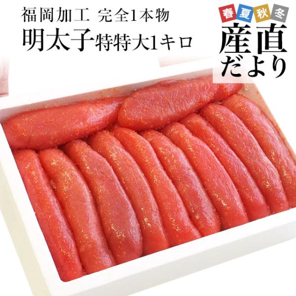 福岡より直送　福岡加工　辛子明太子　特特大1本もの　メガ盛　１キロ（10から12本入）　送料無料　f...