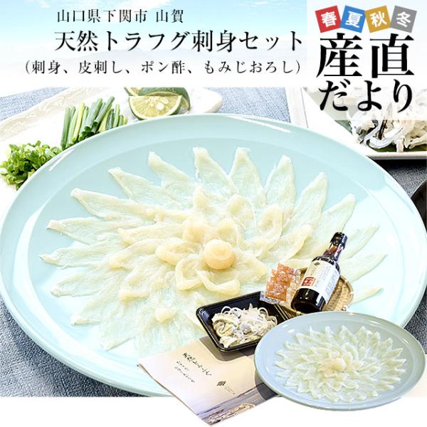 山口県下関市から直送 山賀 天然トラフグ刺身セット（刺身、皮刺し、ポン酢、もみじおろし）送料無料 河...