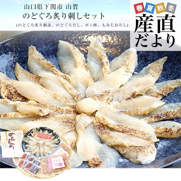 山口県下関市から直送 山賀 のどぐろ炙り刺しセット(のどぐろ炙り刺身、のどぐろだし、ポン酢、もみじお...