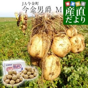 北海道産 JA今金町 じゃがいも 今金男爵 Mサイズ 約5キロ(55玉前後) 送料無料 馬鈴薯 ジャガイモ 芋 男爵芋 市場発送｜sanchokudayori