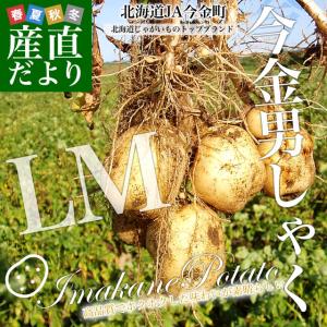 北海道産 JA今金町 じゃがいも 今金男爵 LMサイズ 10キロ