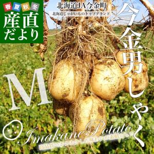 北海道産 JA今金町 じゃがいも 今金男爵 M...の詳細画像1