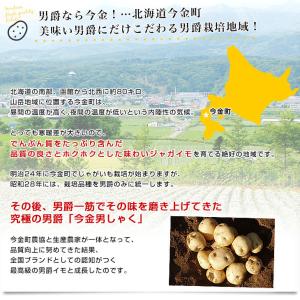 北海道産 JA今金町 じゃがいも 今金男爵 M...の詳細画像3