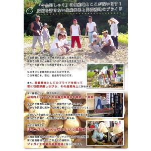 北海道産 JA今金町 じゃがいも 今金男爵 M...の詳細画像4