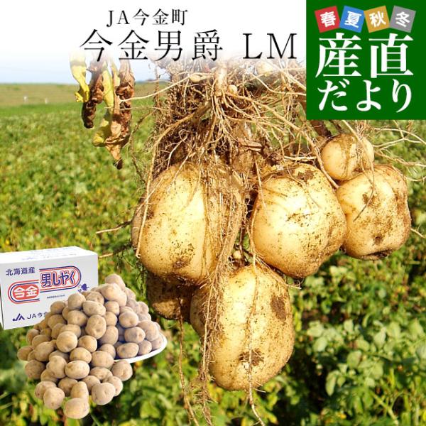 北海道産 JA今金町 じゃがいも 今金男爵 LMサイズ 約10キロ(90玉前後入り)　送料無料 馬鈴...