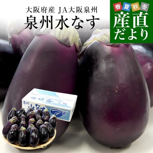 大阪府産 JA大阪泉州 泉州水なす A級品20玉 送料無料 なす 茄子 ナス 市場発送