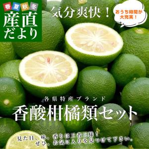 各県特産ブランド 香酸柑橘類セット（徳島県産すだち、大分かぼす、高知県産青ゆず）合計約1.2キロ　送料無料　香酸柑橘　薬味　詰合せ　市場発送｜sanchokudayori