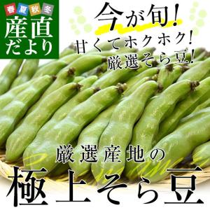 厳選産地の極上そら豆 Lサイズ秀品 2キロ箱 満載詰め そらまめ ソラマメ 千葉 茨城 新潟 宮城 秋田 送料無料  クール便 市場発送