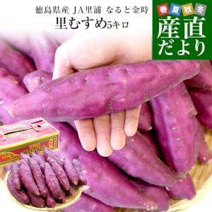 【送料無料】徳島産　なると金時芋　里むすめ　B級　2L～3L　約5ｋｇ4箱 送料無料】徳島産 なると金時芋 里むすめ B級 2L～3L 約5kg4箱 送料